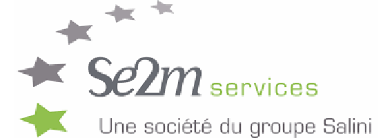 SE2M Services Sale to Index